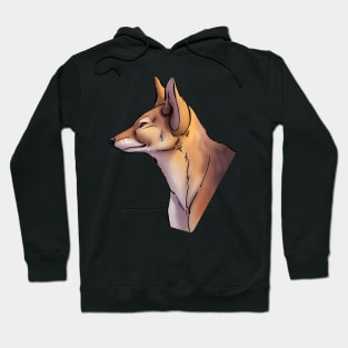 Black-backed jackal Hoodie